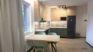 Mieszkanie dwupokojowe 31,16 m², Łódź, Śródmieście, Pomorska, Wynajem