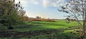 Działka 1 273,00 m², Mnichowice, Sprzedaż