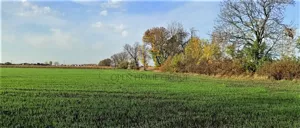 Działka 1 273,00 m², Mnichowice, Sprzedaż