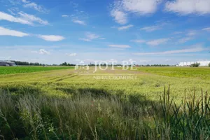 Działka 3 999,00 m², Oleśnica, Bolesława Krzywoustego, Sprzedaż