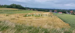 Działka 8 300,00 m², Wierzbna, Zielone Wzgórze, Sprzedaż