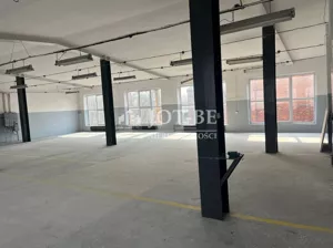 Magazyn 250,00 m², Ciechów, Wynajem