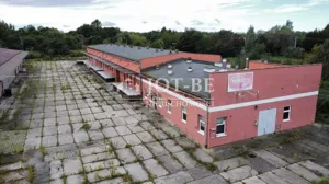 Magazyn 2 253,00 m², Pawłów, Sprzedaż