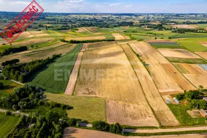 Działka 53 000,00 m², Grębocin, Sprzedaż