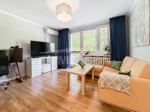 Mieszkanie jednopokojowe 30,00 m², Kraków, Podgórze, Jana Długosza, Wynajem