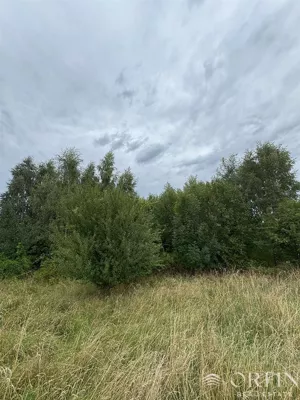 Działka 960,00 m², Pręgowo, Grzybowa, Sprzedaż