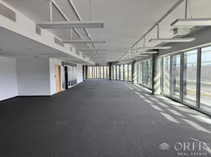 Biuro 812,00 m², Gdynia, Mały Kack, Sportowa, Wynajem