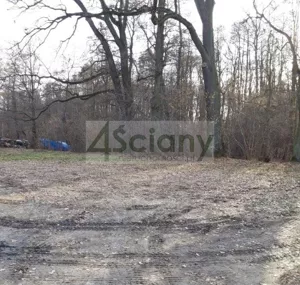 Działka 1 500,00 m², Adamowizna, Sprzedaż