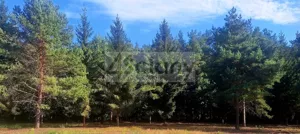 Działka 1 200,00 m², Adamowizna, Sprzedaż