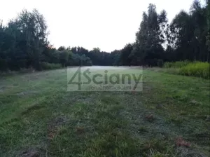 Działka 3 000,00 m², Arciechów, Sprzedaż