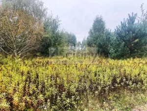 Działka 1 075,00 m², Barcice Drwalewskie, Sprzedaż