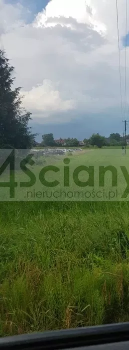 Działka 3 990,00 m², Bieniewice, Sprzedaż