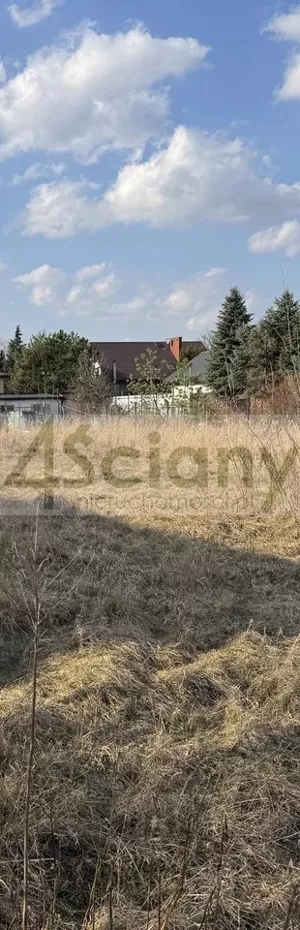 Działka 745,00 m², Bieniewice, Sprzedaż