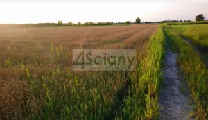 Działka 1 136,00 m², Błonie, Sprzedaż