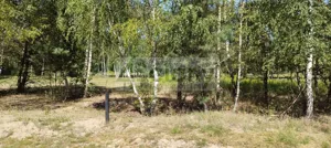 Działka 1 500,00 m², Błonie, Sprzedaż