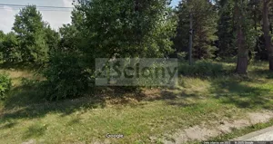 Działka 4 446,00 m², Brześce, Sprzedaż