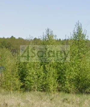 Działka 913,00 m², Chmielewo, Sprzedaż