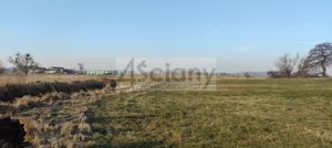 Działka 7 855,00 m², Cholewy, Sprzedaż