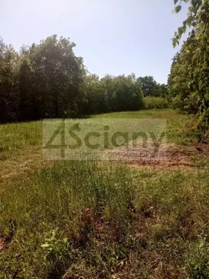 Działka 1 674,00 m², Chrzanów Mały, Sprzedaż