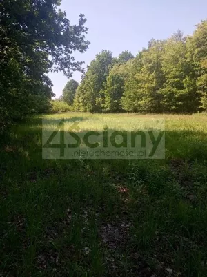 Działka 2 461,00 m², Chrzanów Mały, Sprzedaż