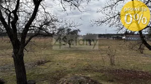 Działka 39 131,00 m², Chudolipie, Sprzedaż