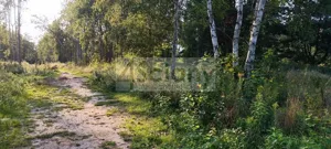 Działka 1 500,00 m², Czarny Las, Sprzedaż