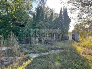 Działka 1 243,00 m², Domaniewek Pierwszy, Sprzedaż