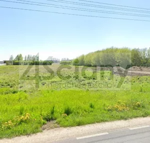Działka 5 000,00 m², Duchnice, Sprzedaż