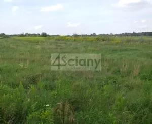 Działka 1 604,00 m², Duchnów, Sprzedaż