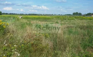 Działka 1 603,00 m², Duchnów, Sprzedaż