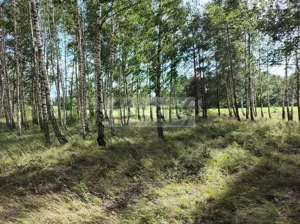 Działka 1 005,00 m², Gawartowa Wola, Sprzedaż