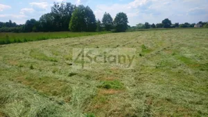 Działka 2 209,00 m², Grodzisk Mazowiecki, Sprzedaż