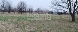 Działka 5 300,00 m², Grodzisk Mazowiecki, Sprzedaż