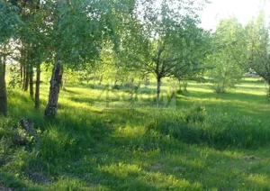 Działka 3 023,00 m², Grodzisk Mazowiecki, Sprzedaż