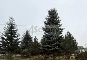 Działka 859,00 m², Grodzisk Mazowiecki, Sprzedaż