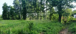 Działka 2 065,00 m², Grodzisk Mazowiecki, Sprzedaż