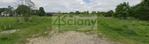 Działka 17 968,00 m², Grodzisk Mazowiecki, Sprzedaż