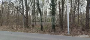 Działka 2 751,00 m², Grodzisk Mazowiecki, Sprzedaż