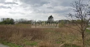 Działka 26 900,00 m², Halinów, Sprzedaż
