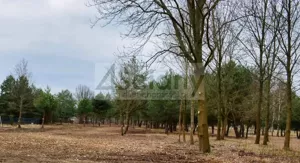 Działka 1 000,00 m², Huta Żabiowolska, Sprzedaż