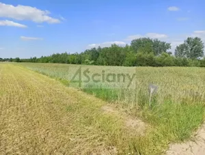 Działka 923,00 m², Jachranka, Sprzedaż