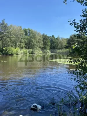 Działka 21 811,00 m², Janinów, Sprzedaż