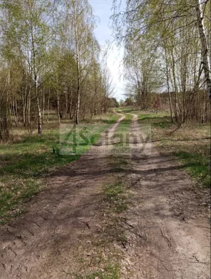 Działka 750,00 m², Jasienica, Sprzedaż