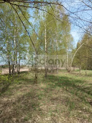 Działka 16 000,00 m², Jasienica, Sprzedaż