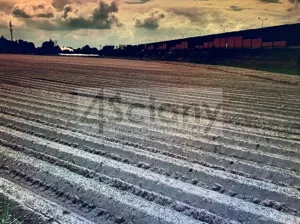 Działka 8 467,00 m², Jawczyce, Sprzedaż