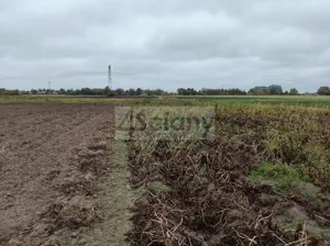 Działka 1 072,00 m², Kampinos A, Sprzedaż