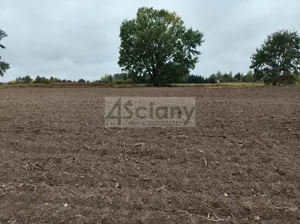 Działka 1 073,00 m², Kampinos A, Sprzedaż