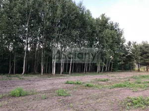 Działka 1 674,00 m², Komorów, Sprzedaż