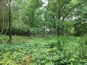 Działka 937,00 m², Komorów, Sprzedaż