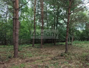 Działka 1 981,00 m², Komorów, Sprzedaż
